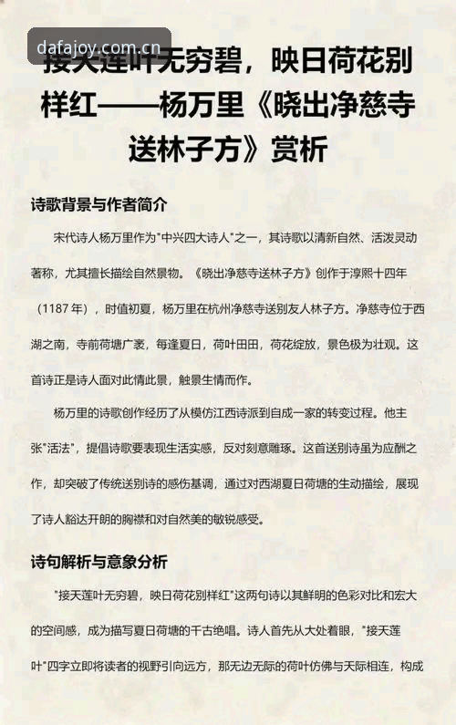 深度揭秘：大发官网注册评测背后的实战真相